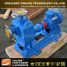 Single Phase Water Pump (zx)